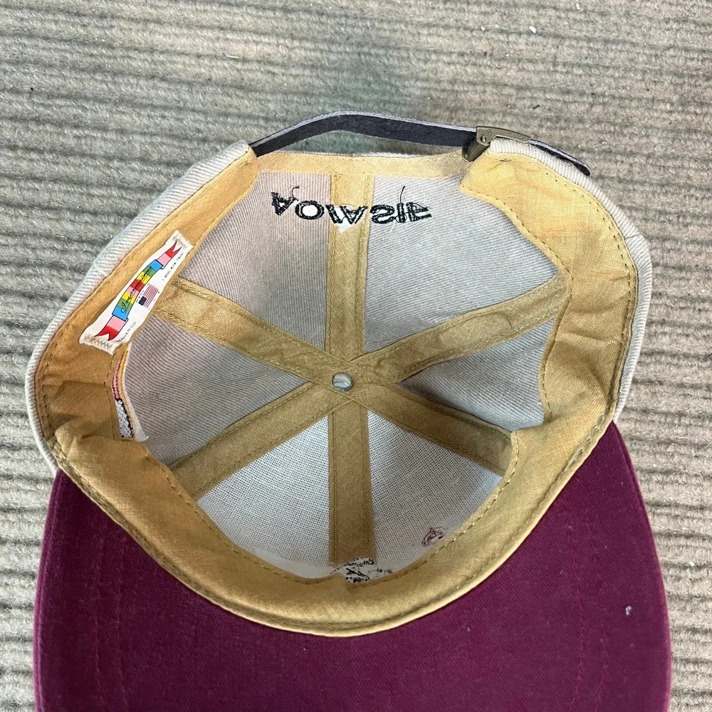 Vintage Synthes AO/ASIF Hat Impressions Denver CO Mountain Logo USA Swiss Flag